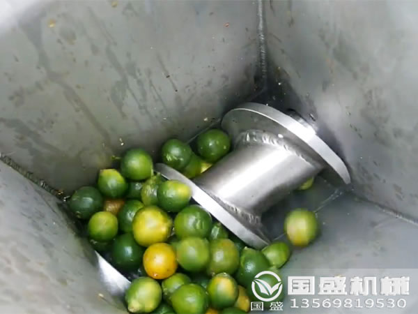 水果压榨机厂家 水果压榨机厂家