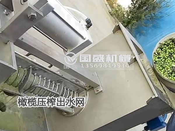 榴莲视频IOS污橄榄脱水机