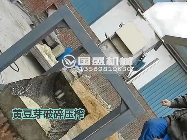 榴莲视频IOS污黄豆芽固液分离机