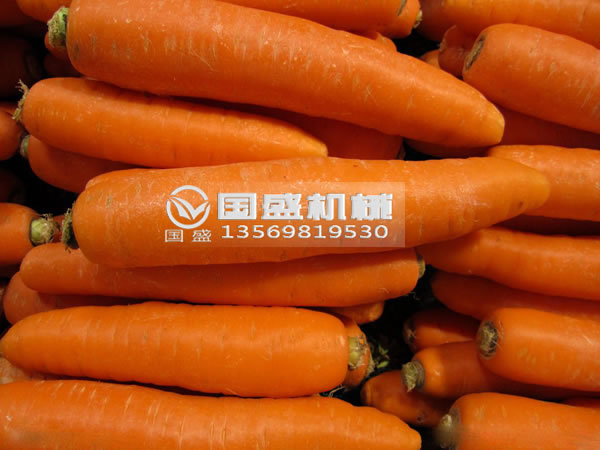 榴莲视频IOS污胡萝卜脱水挤压机